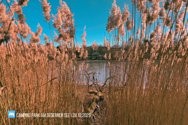 Camping%20Park%20am%20Gederner%20See Galerie Foto
