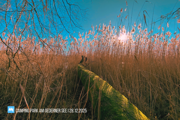 Camping%20Park%20am%20Gederner%20See Galerie Foto